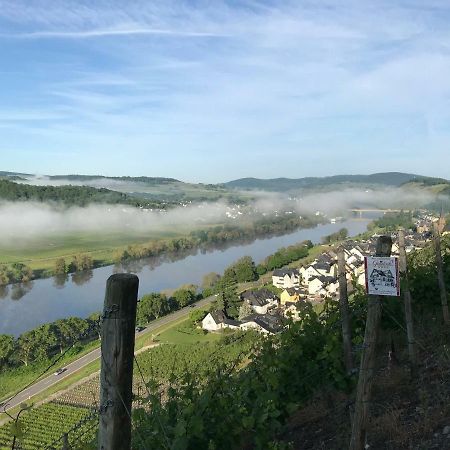 Wein- Und Gaestehaus Genetsch Lieser Kültér fotó