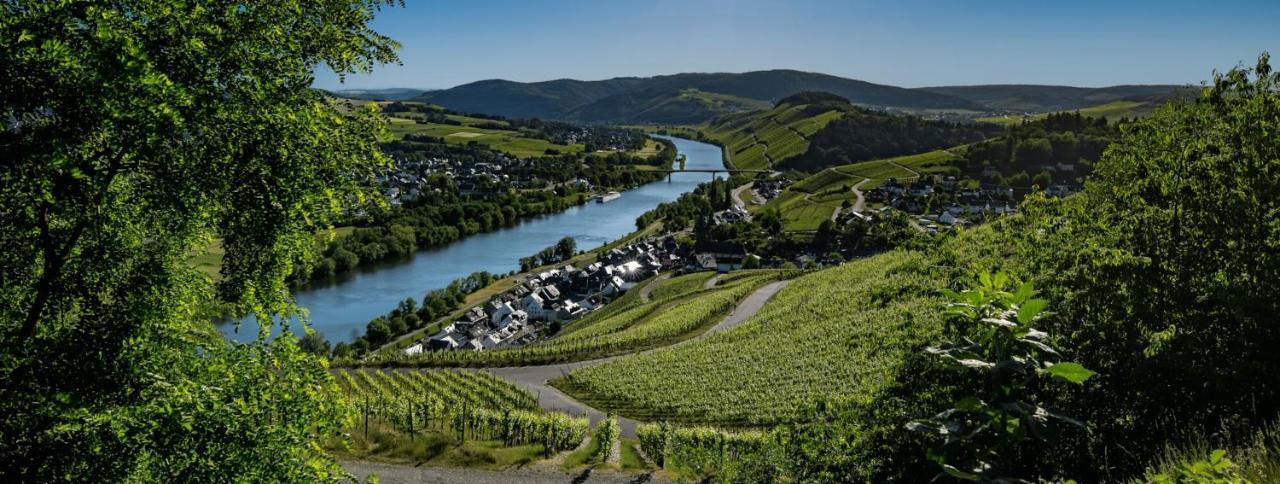 Wein- Und Gaestehaus Genetsch Lieser Kültér fotó