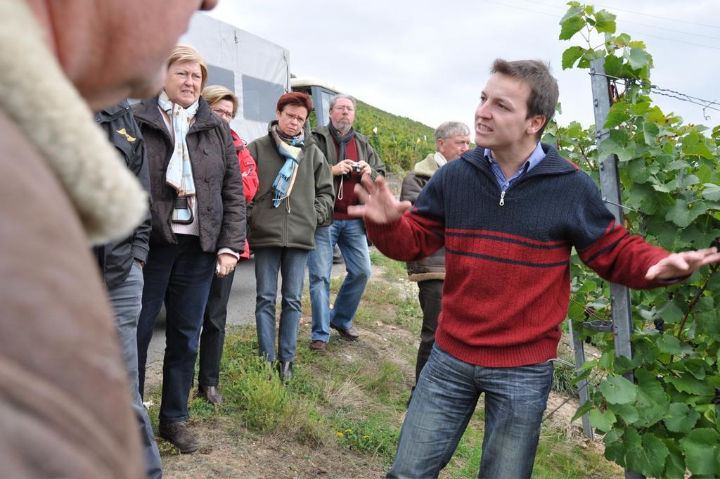 Wein- Und Gaestehaus Genetsch Lieser Kültér fotó