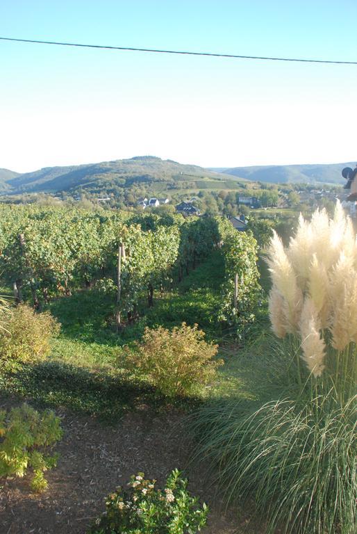 Wein- Und Gaestehaus Genetsch Lieser Kültér fotó