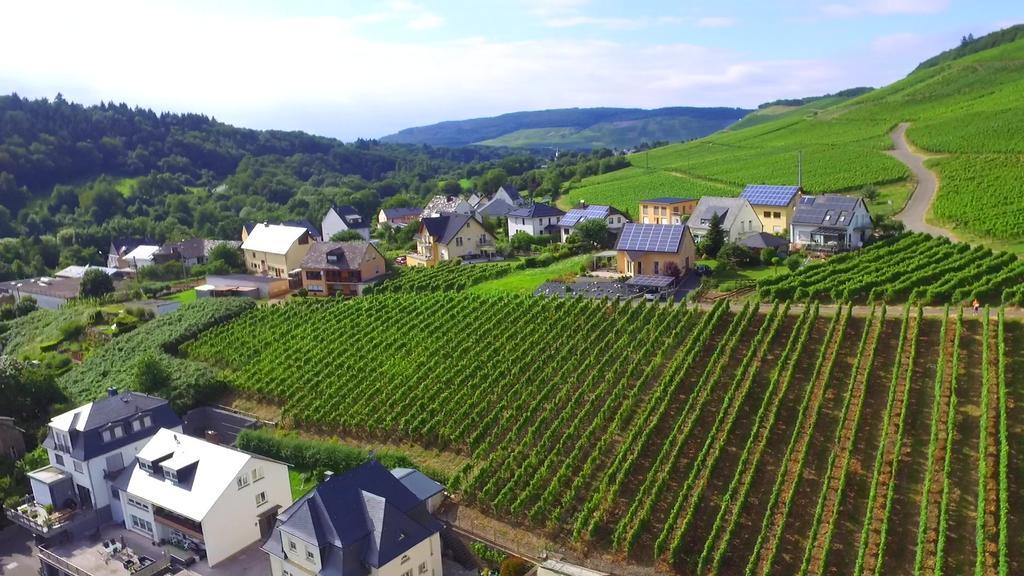 Wein- Und Gaestehaus Genetsch Lieser Kültér fotó