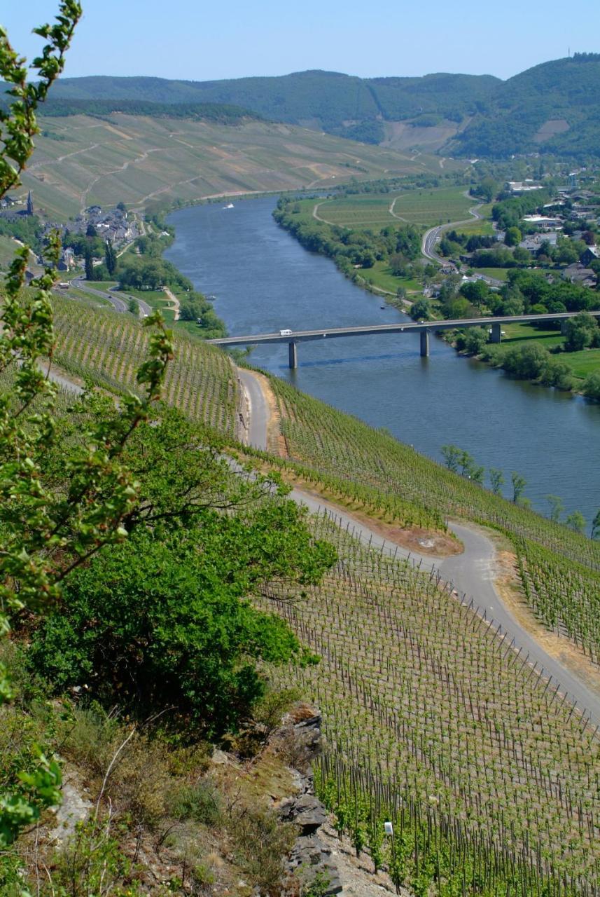 Wein- Und Gaestehaus Genetsch Lieser Kültér fotó