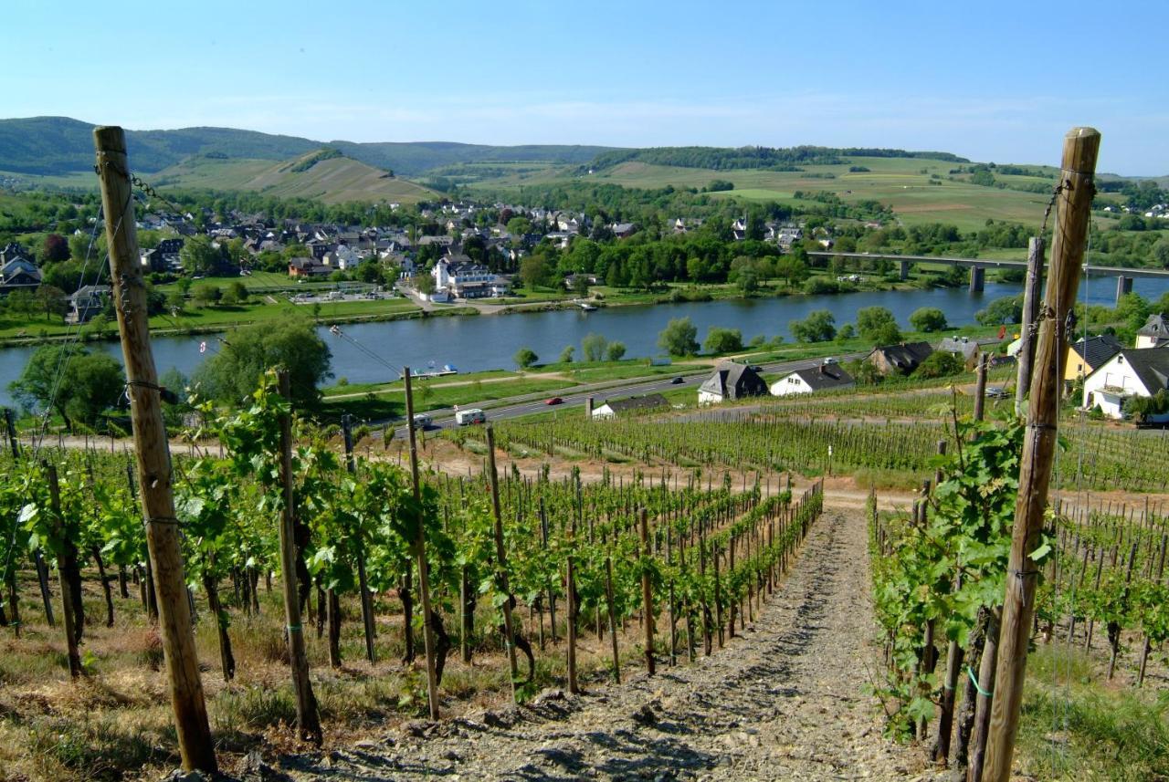 Wein- Und Gaestehaus Genetsch Lieser Kültér fotó