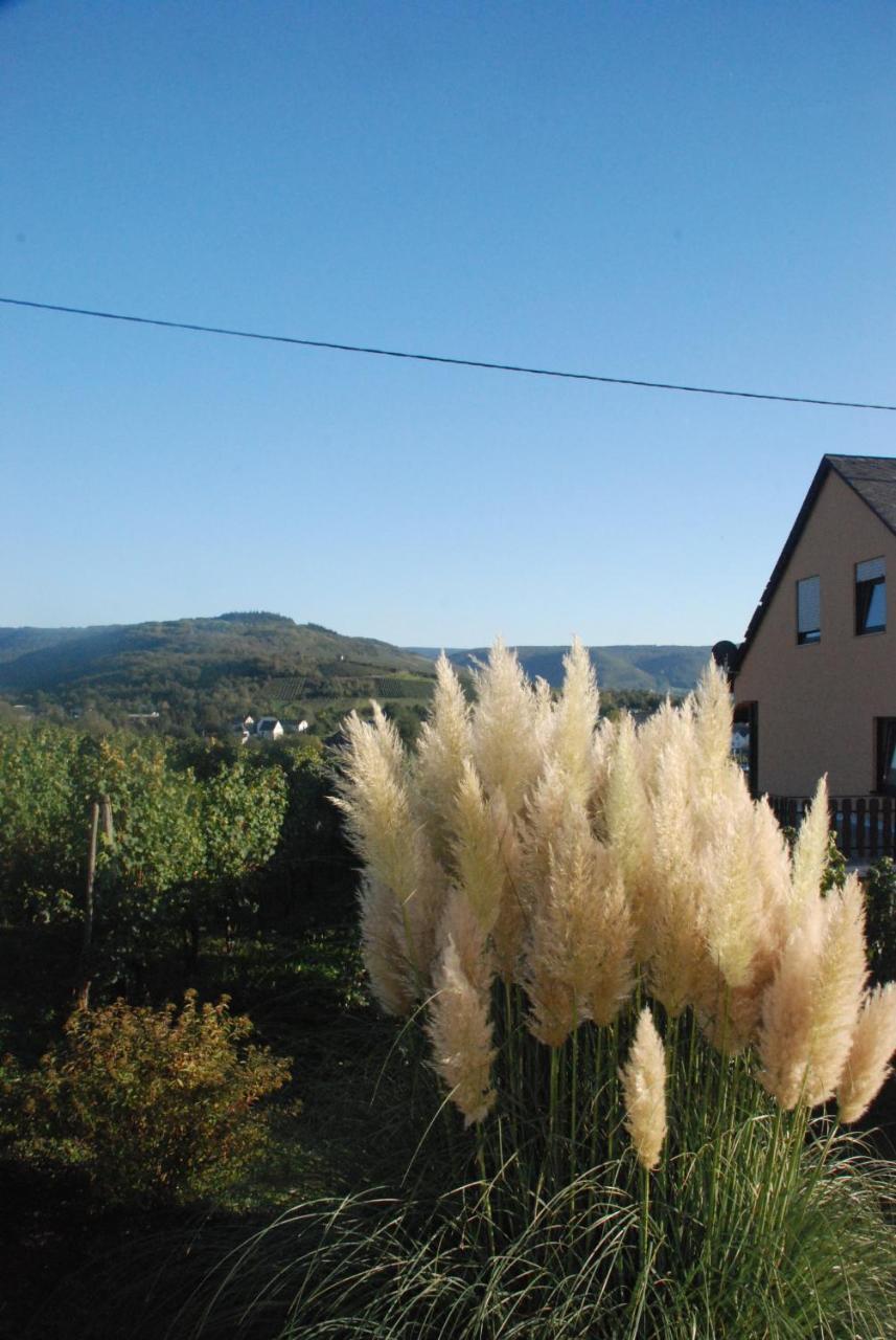 Wein- Und Gaestehaus Genetsch Lieser Kültér fotó