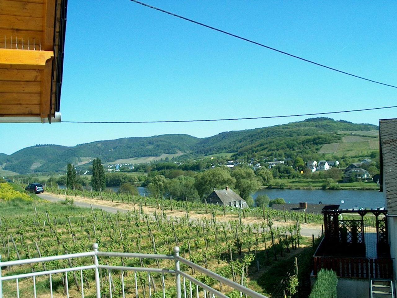Wein- Und Gaestehaus Genetsch Lieser Kültér fotó