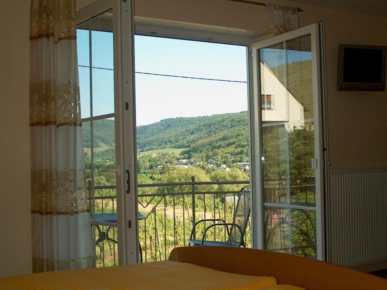 Wein- Und Gaestehaus Genetsch Lieser Kültér fotó