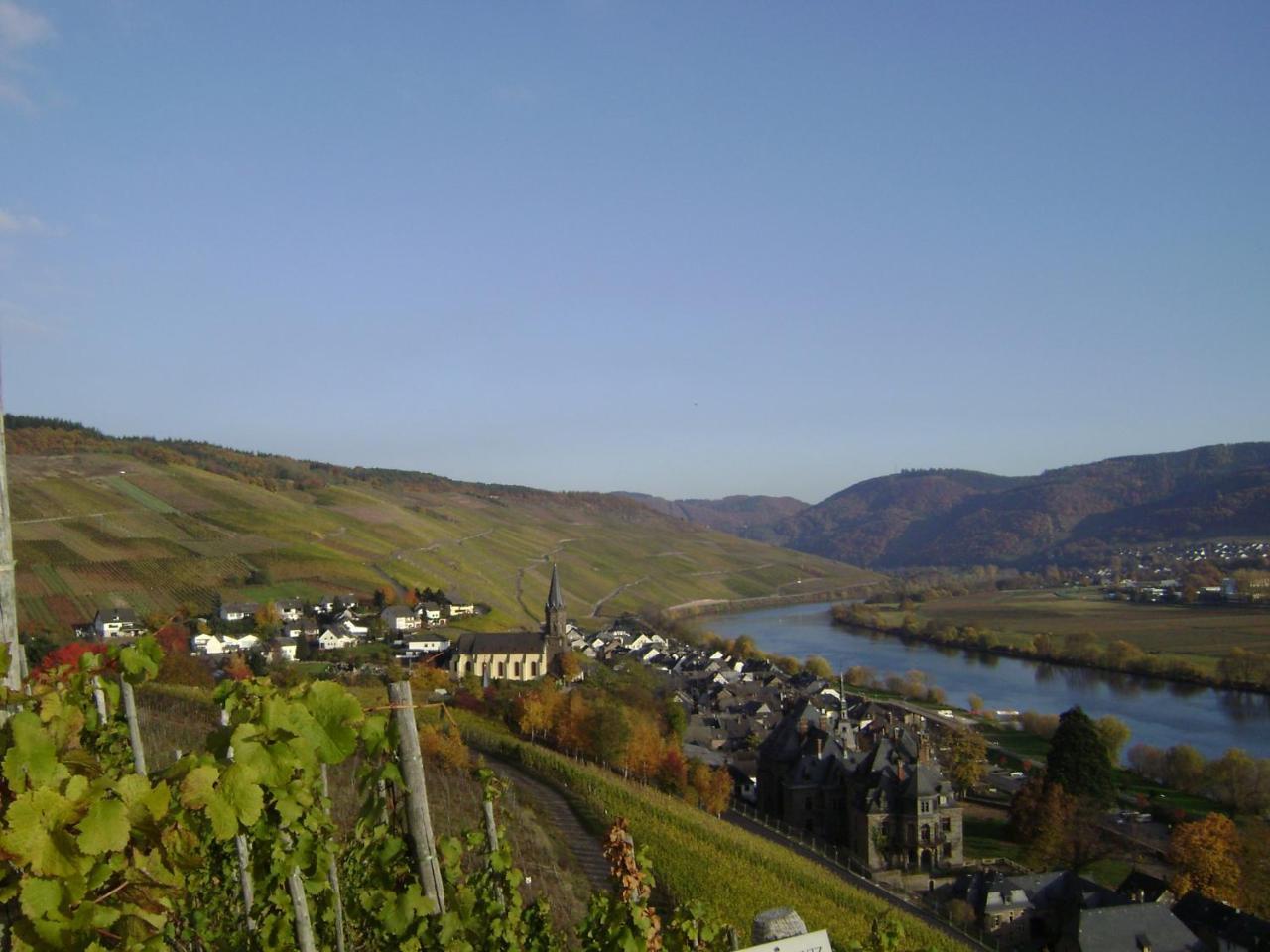 Wein- Und Gaestehaus Genetsch Lieser Kültér fotó