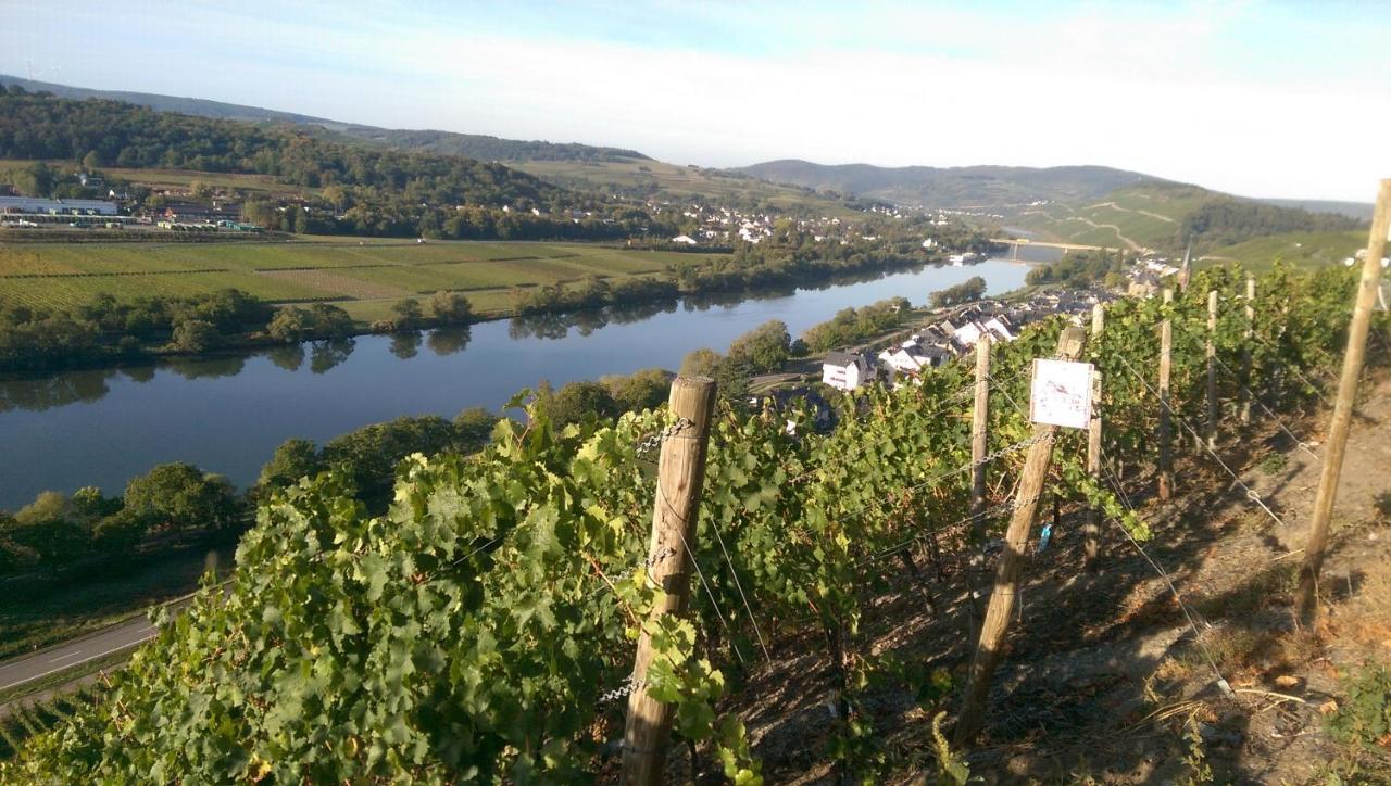 Wein- Und Gaestehaus Genetsch Lieser Kültér fotó