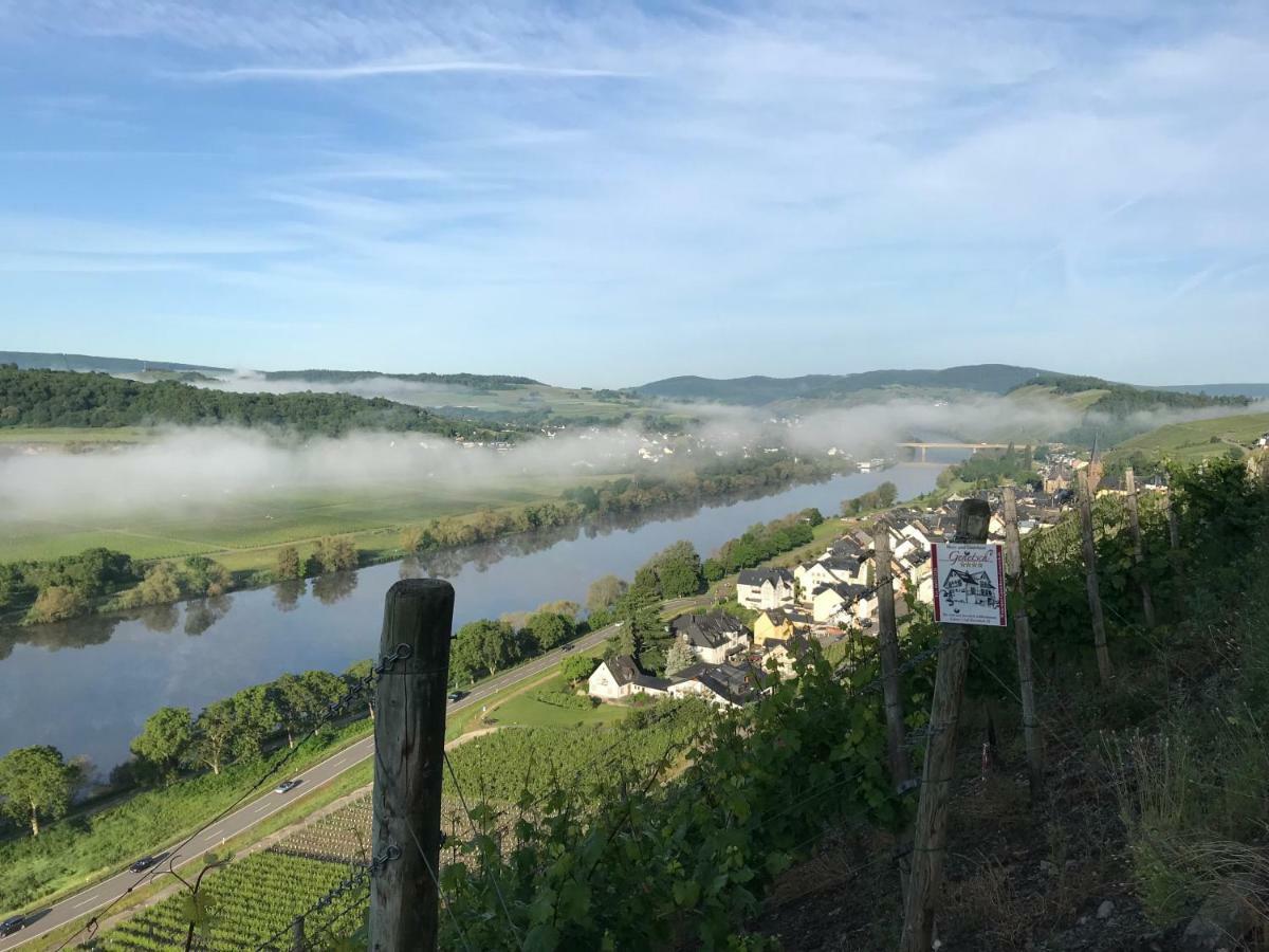 Wein- Und Gaestehaus Genetsch Lieser Kültér fotó